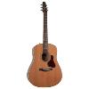 GUITARE FOLK ELECTRO-ACOUSTIQUE SEAGULL COASTLINE MOMENTUM A/E HG