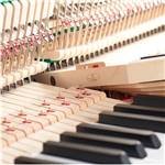 PIANO DROIT SILENCIEUX FRIDOLIN SCHIMMEL F 121 TRADITION - Twintone