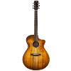 GUITARE FOLK ELECTRO-ACOUSTIQUE BREEDLOVE PURSUIT EXOTIC CONCERTO CE