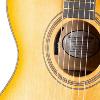 GUITARE FOLK ELECTRO-ACOUSTIQUE BREEDLOVE ORGANIC ARTISTA CONCERT CE MYRTLEWOOD