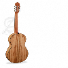 GUITARE CLASSIQUE ALHAMBRA 6 OLIVO + HOUSSE