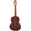 GUITARE CLASSIQUE PRODIPE SOLOIST 900