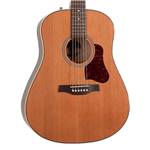 GUITARE FOLK ELECTRO-ACOUSTIQUE SEAGULL COASTLINE MOMENTUM A/E HG