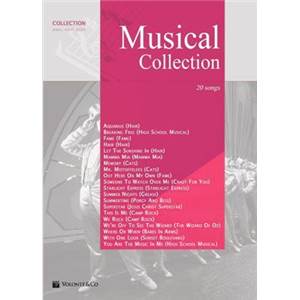 COMPILATION - MUSICAL COLLECTION P/V/G