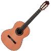 GUITARE CLASSIQUE PRODIPE SOLOIST 900