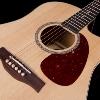 GUITARE FOLK ELECTRO-ACOUSTIQUE SEAGULL COASTLINE SLIM CW SPRUCE PRESYS II