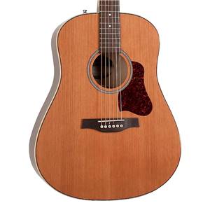 GUITARE FOLK ELECTRO-ACOUSTIQUE SEAGULL COASTLINE MOMENTUM A/E HG