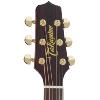 GUITARE FOLK ELECTRO-ACOUSTIQUE TAKAMINE SERIE PRO P5DC