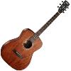 GUITARE ACOUSTIQUE FOLK CORT AF 510 M OP